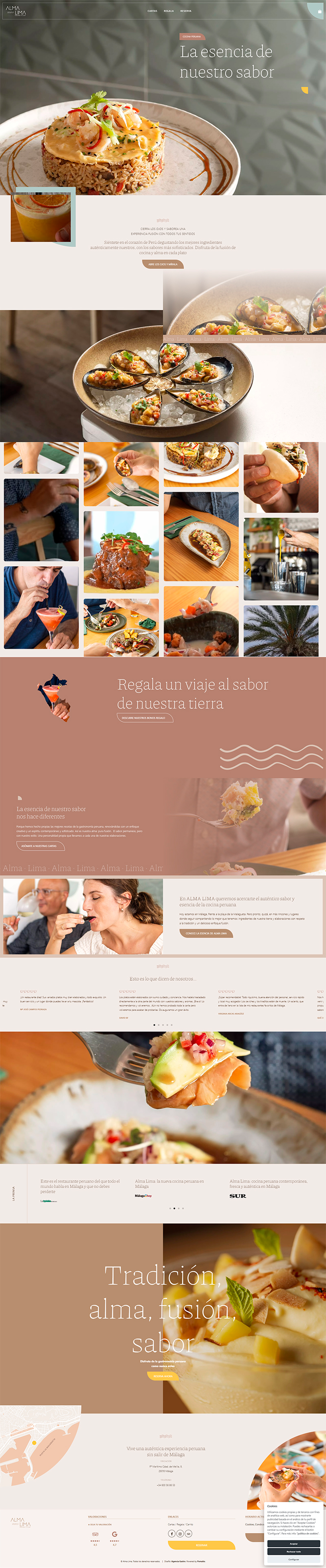 Proyecto 3